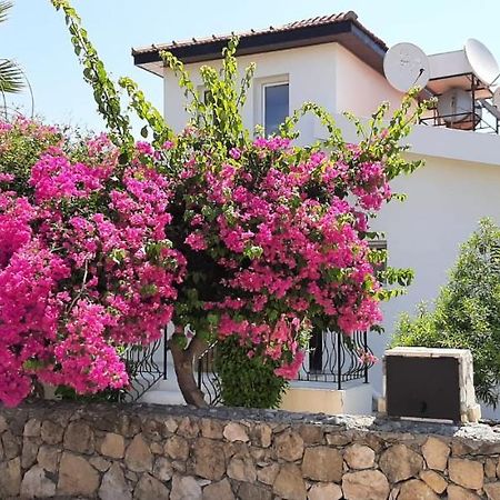 ואסילה Villa Bougainvillea With Privite Pool מראה חיצוני תמונה