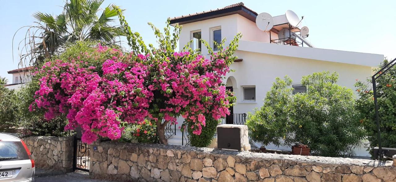 ואסילה Villa Bougainvillea With Privite Pool מראה חיצוני תמונה