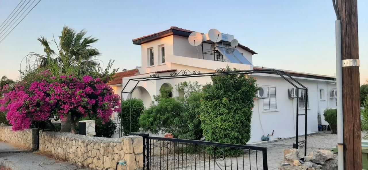 ואסילה Villa Bougainvillea With Privite Pool מראה חיצוני תמונה
