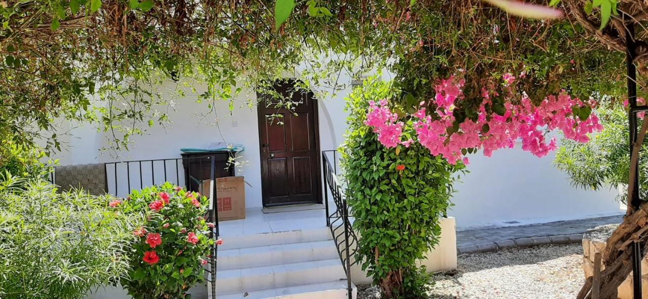 ואסילה Villa Bougainvillea With Privite Pool מראה חיצוני תמונה